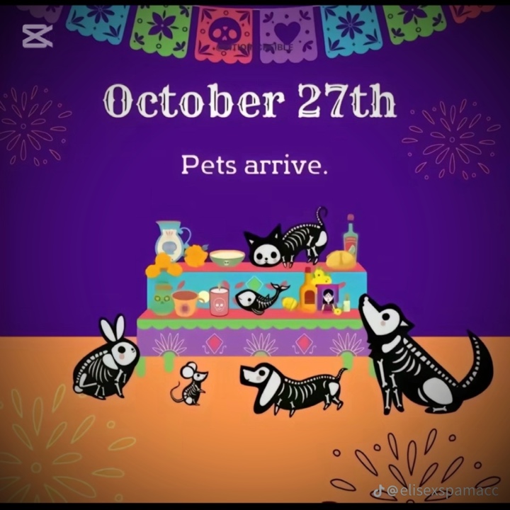 oct 27th 