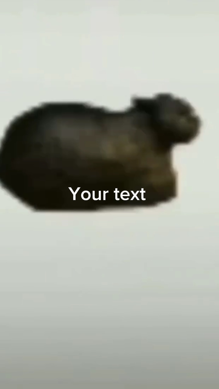 Ohihahiahoahiahoh