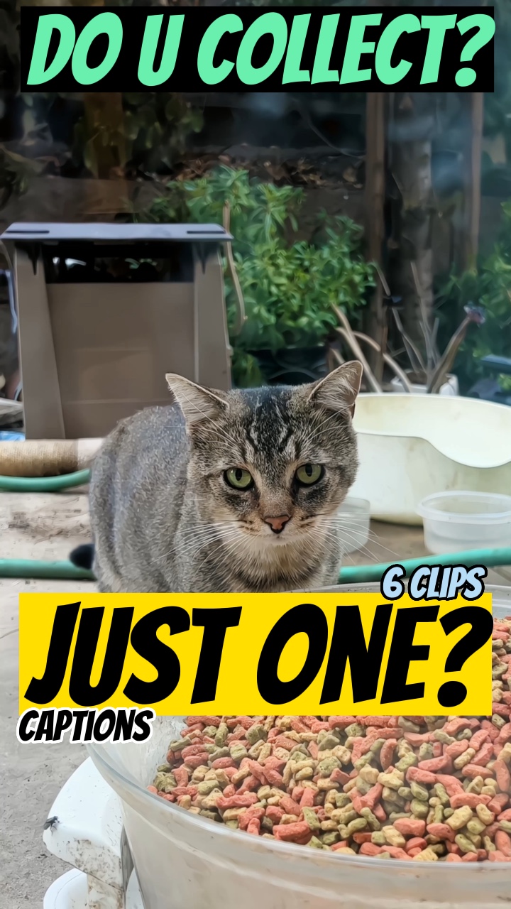 It’s just one? Right