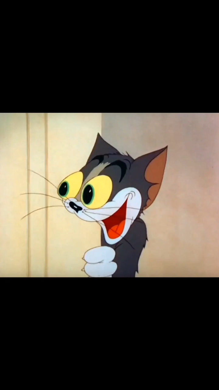 Tom cat