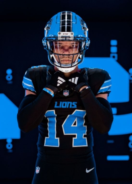 Nouveaux lions