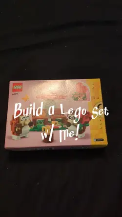 Build a Lego set w/