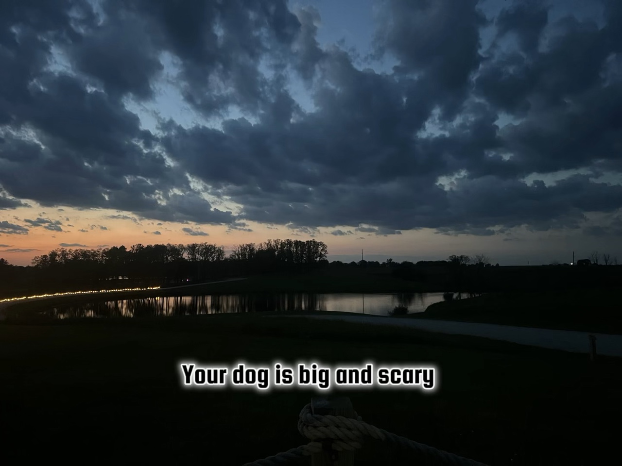 Your dog is scary