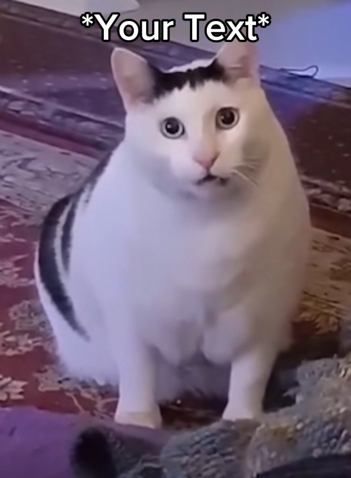 Ha?