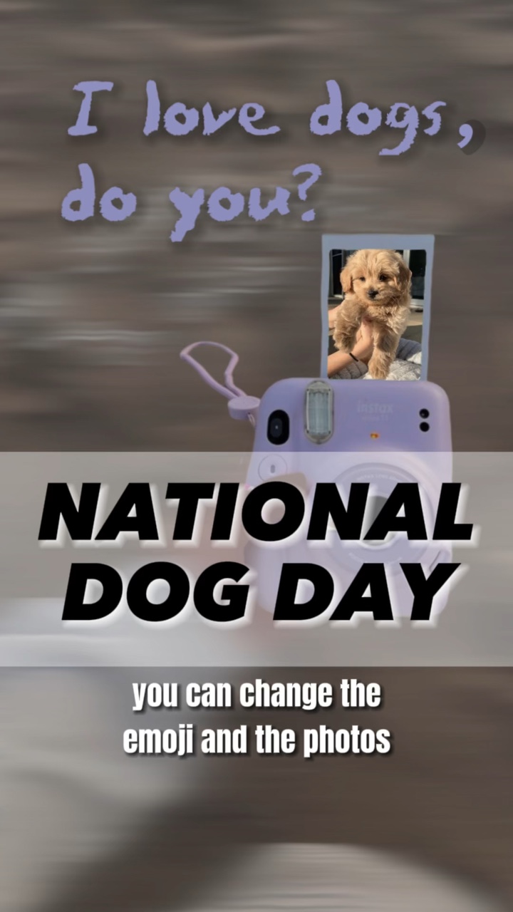 Modelo De Cão