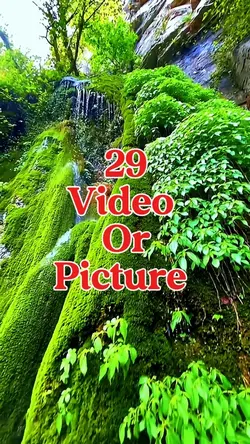 29 video or picture