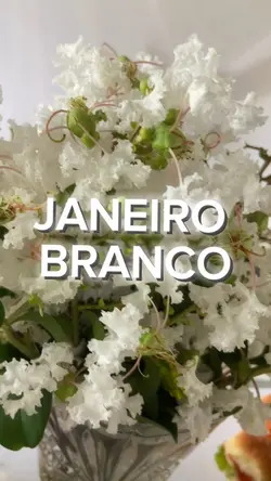 Janeiro Branco