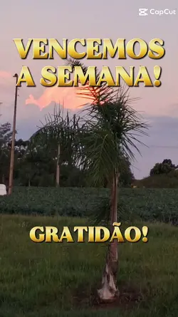 Vencemos a semana