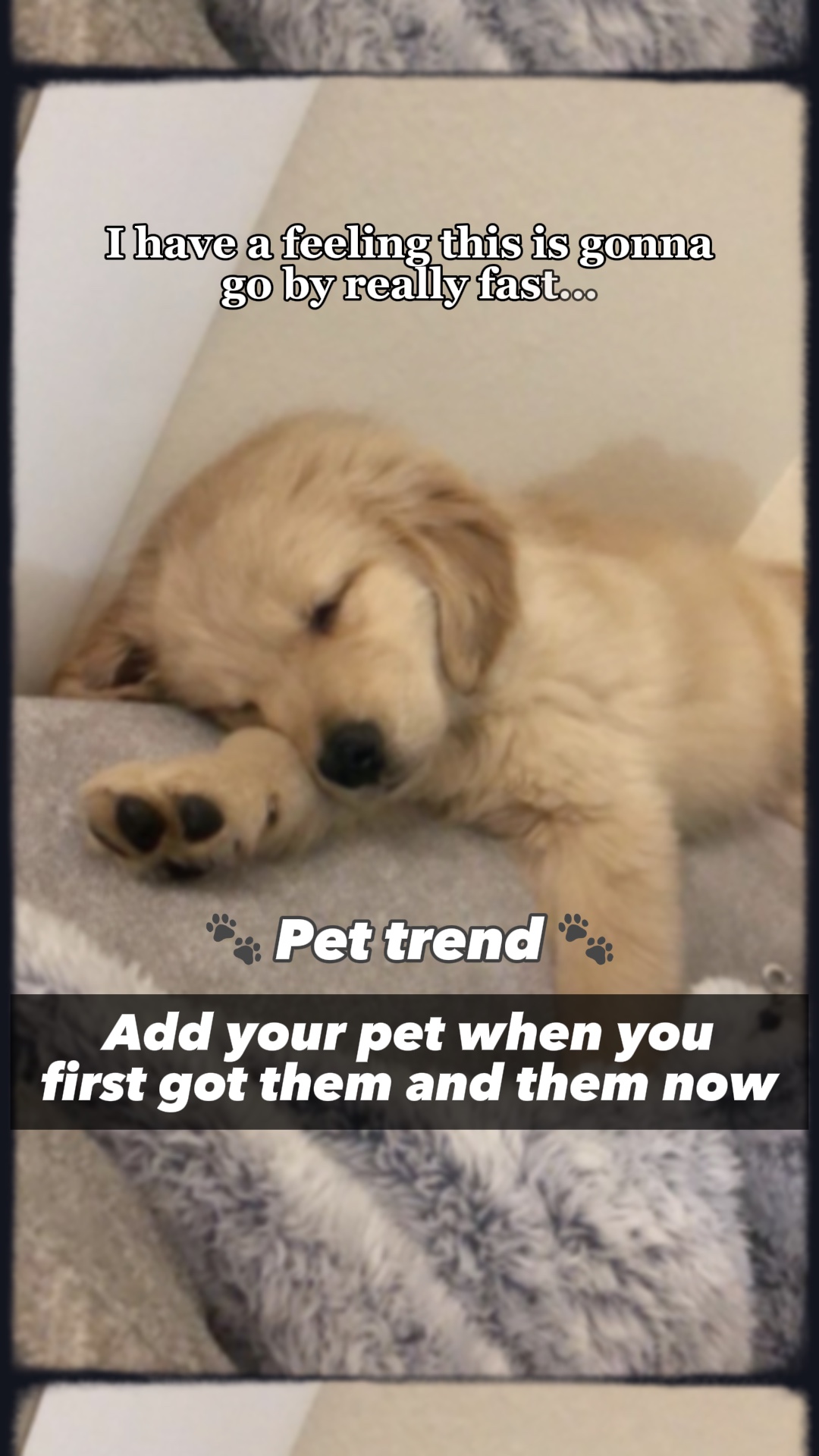 sehr schnell vorbeifahren🐾🤍