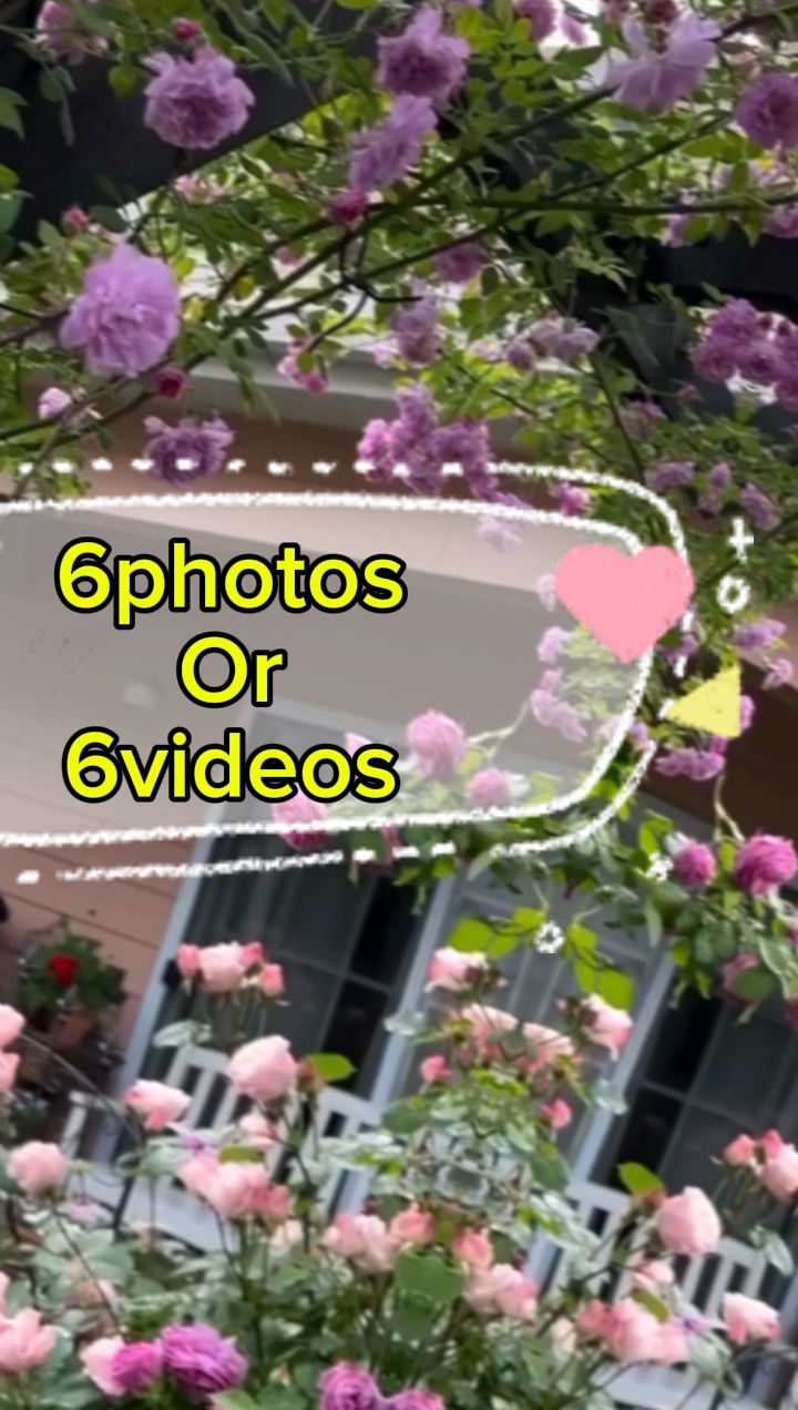 6photos / vidéos
