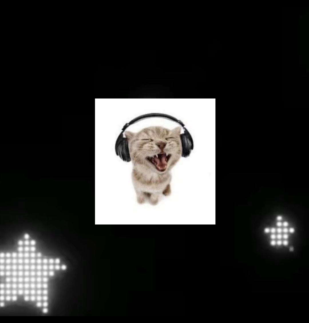 ¡Mi primera edición! GATITO
