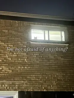 Fears 