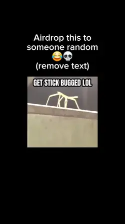 Get Stick Bugged lol