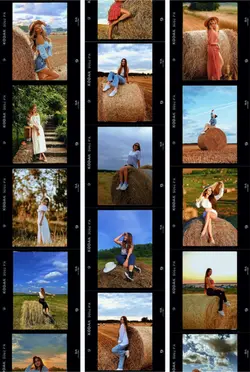 Autumn photos