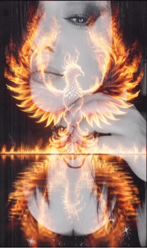 The Phoenix 