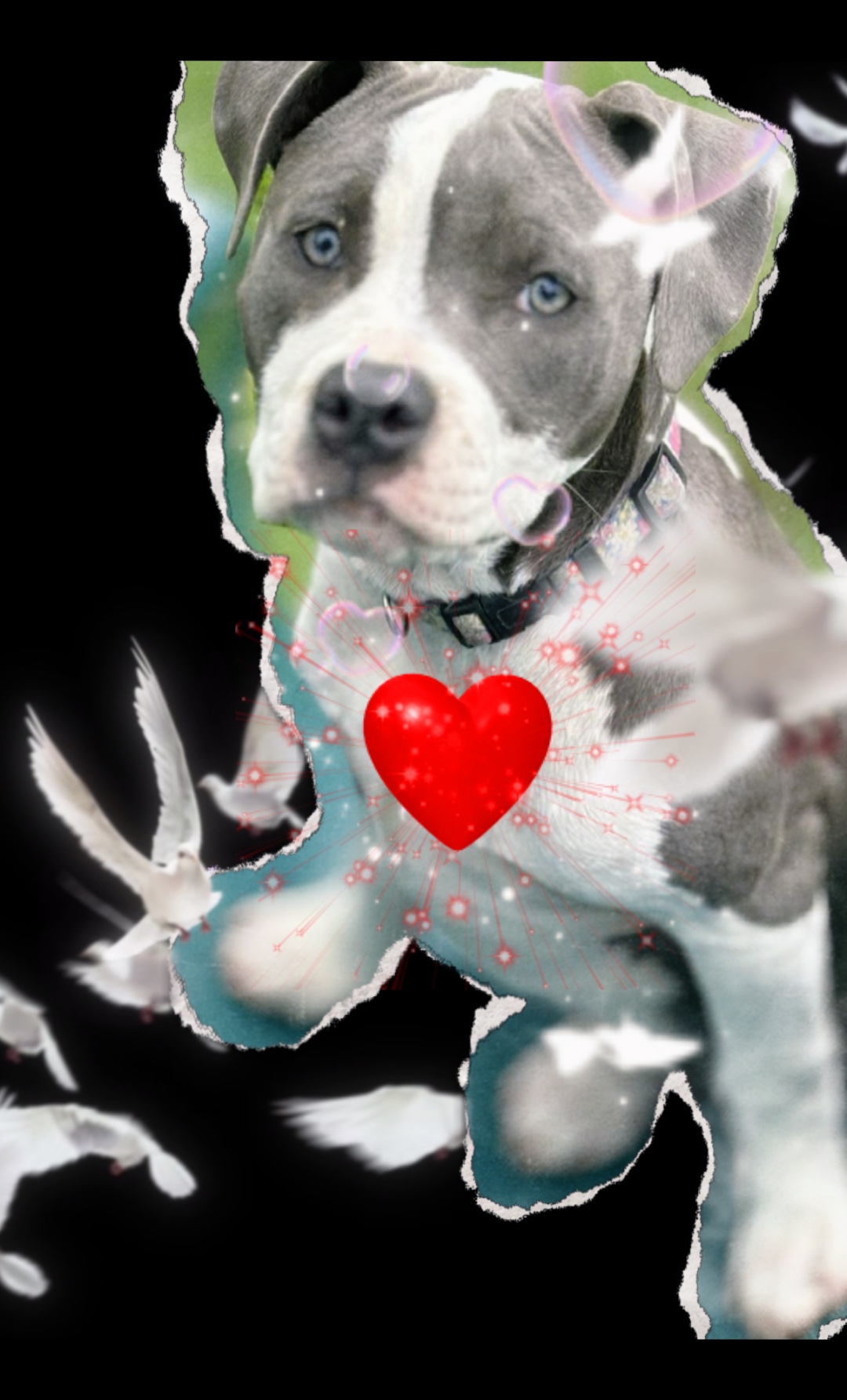 EL AMOR ES PARA SIEMPRE