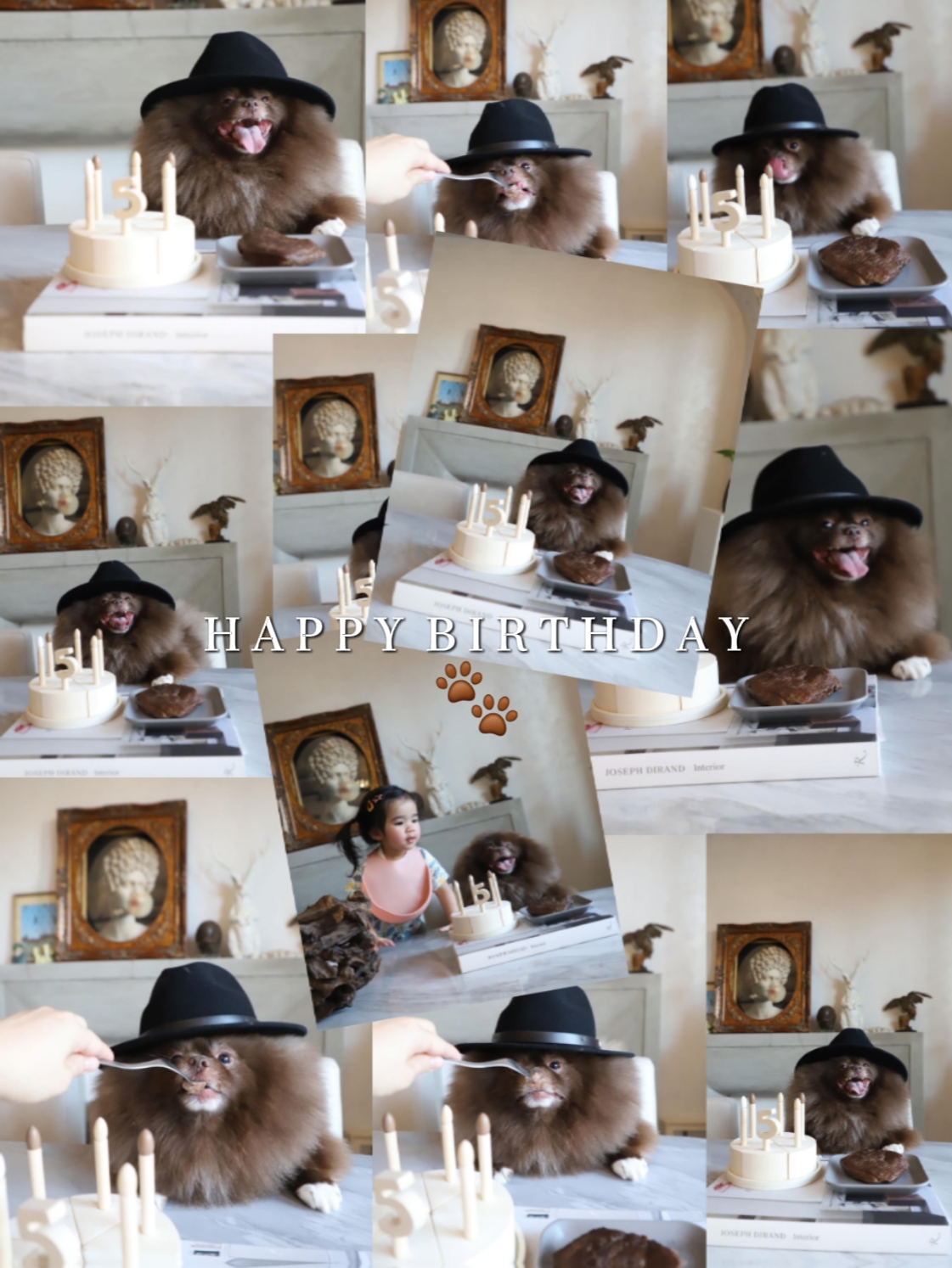 hpbd köpeğim