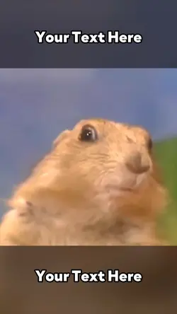 Dramatic Chipmunk 