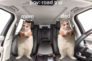 meme kucing