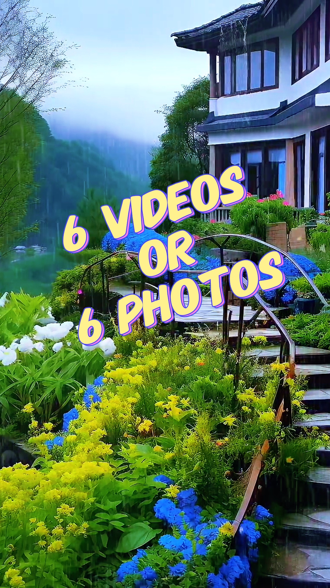 6videos/6photos