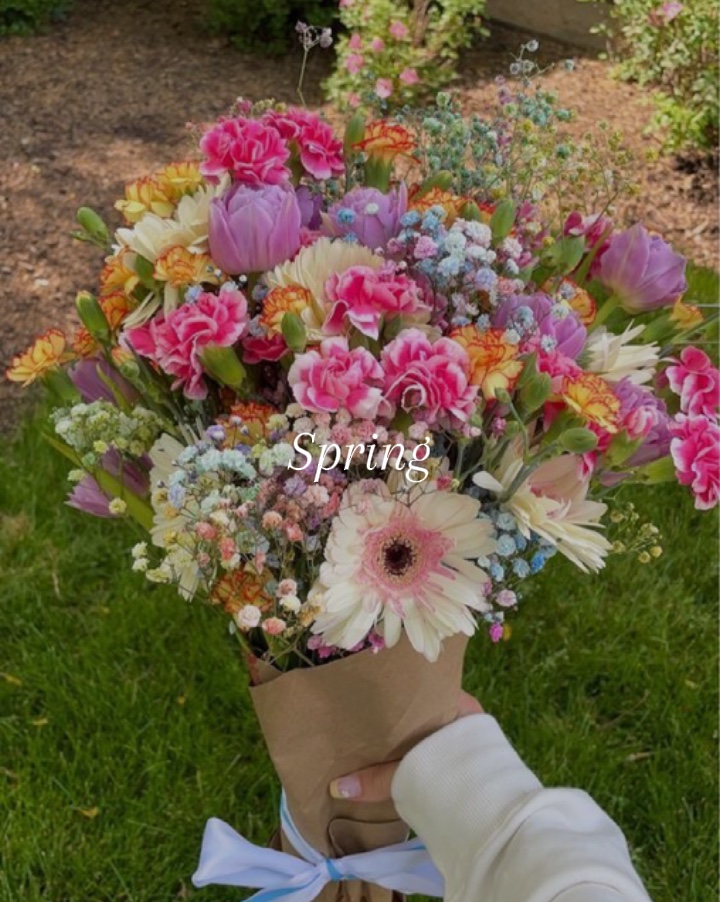 现在是春天🌺