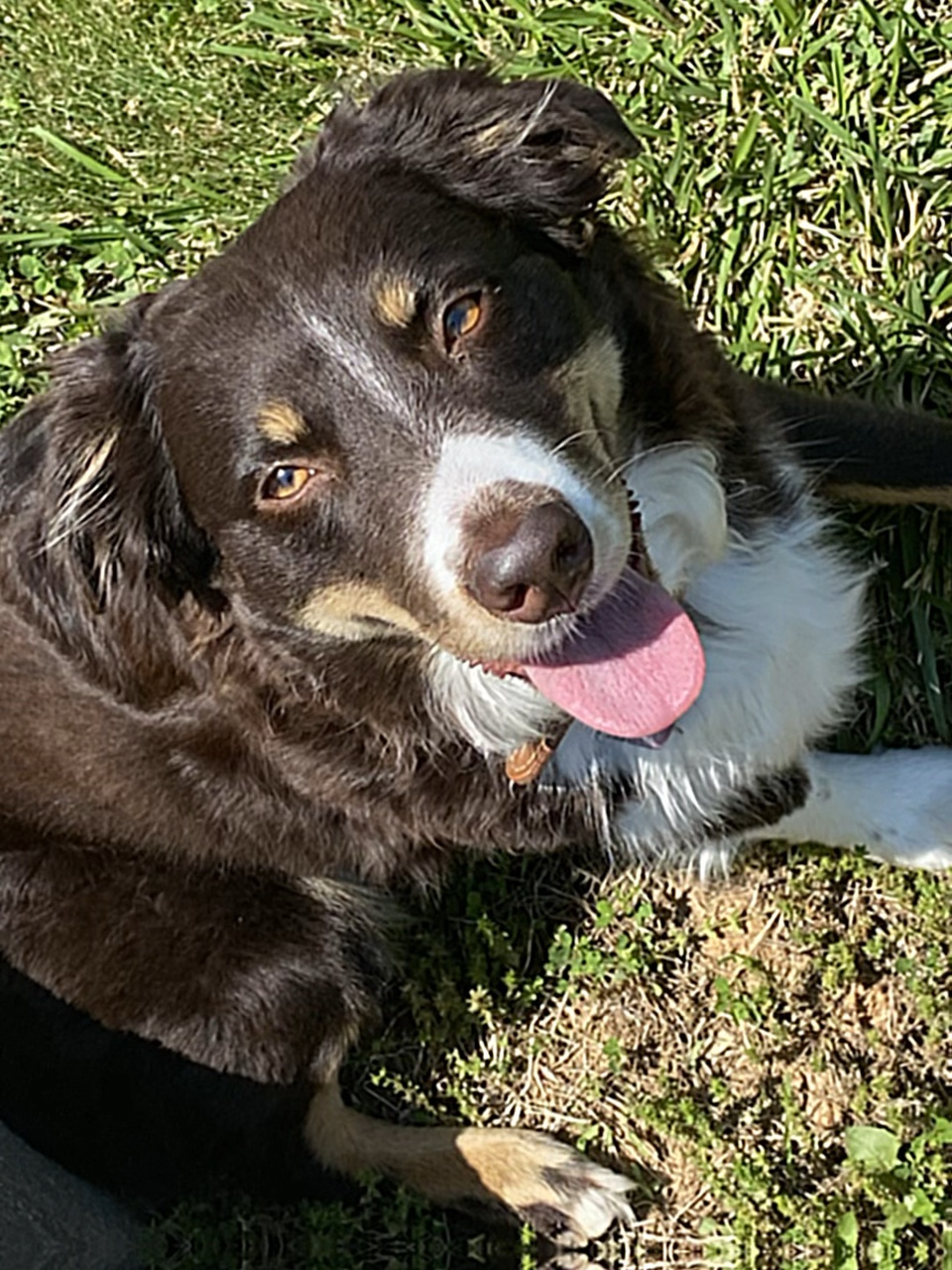 Daisy Mae