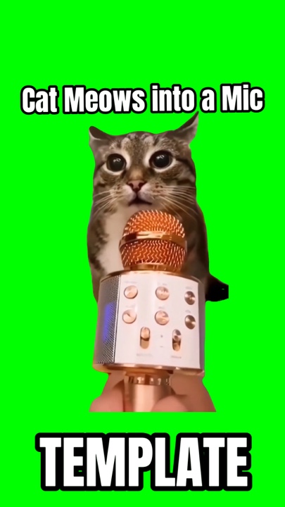 Cat mengeong di mic