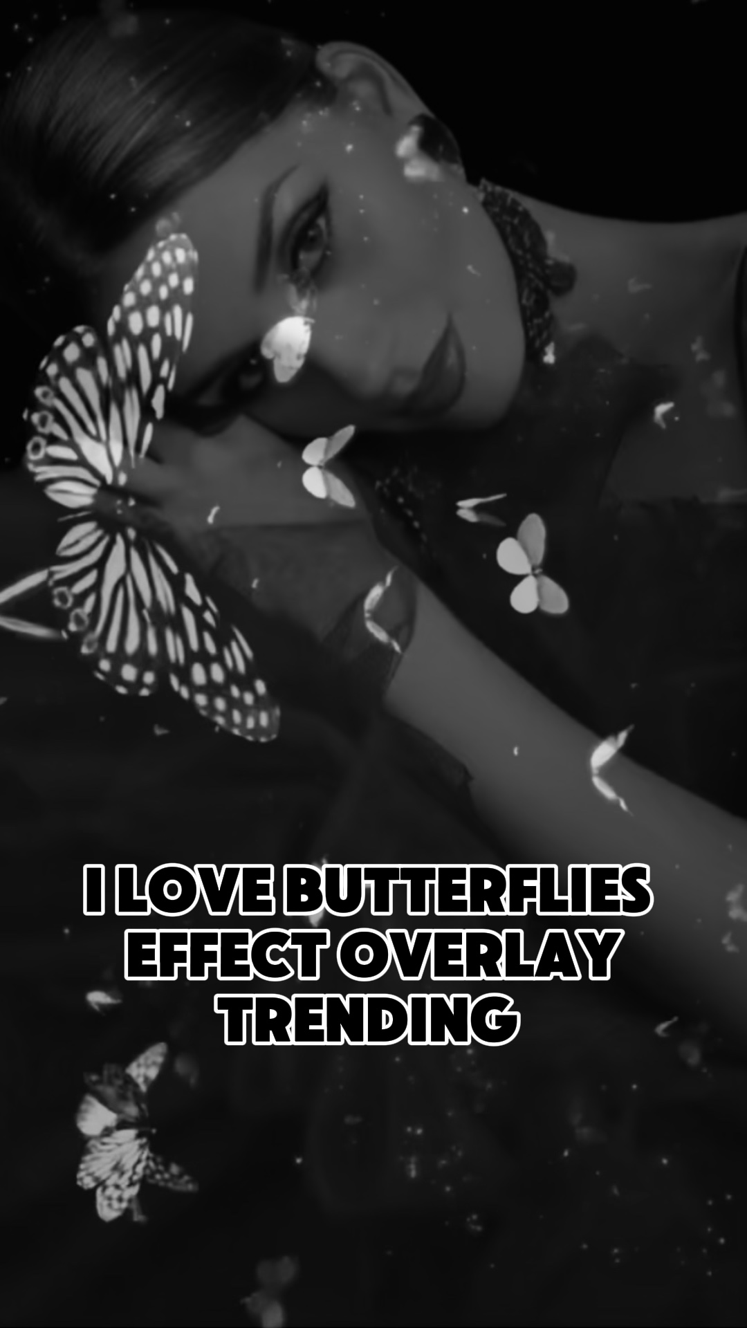 Efecto mariposas 