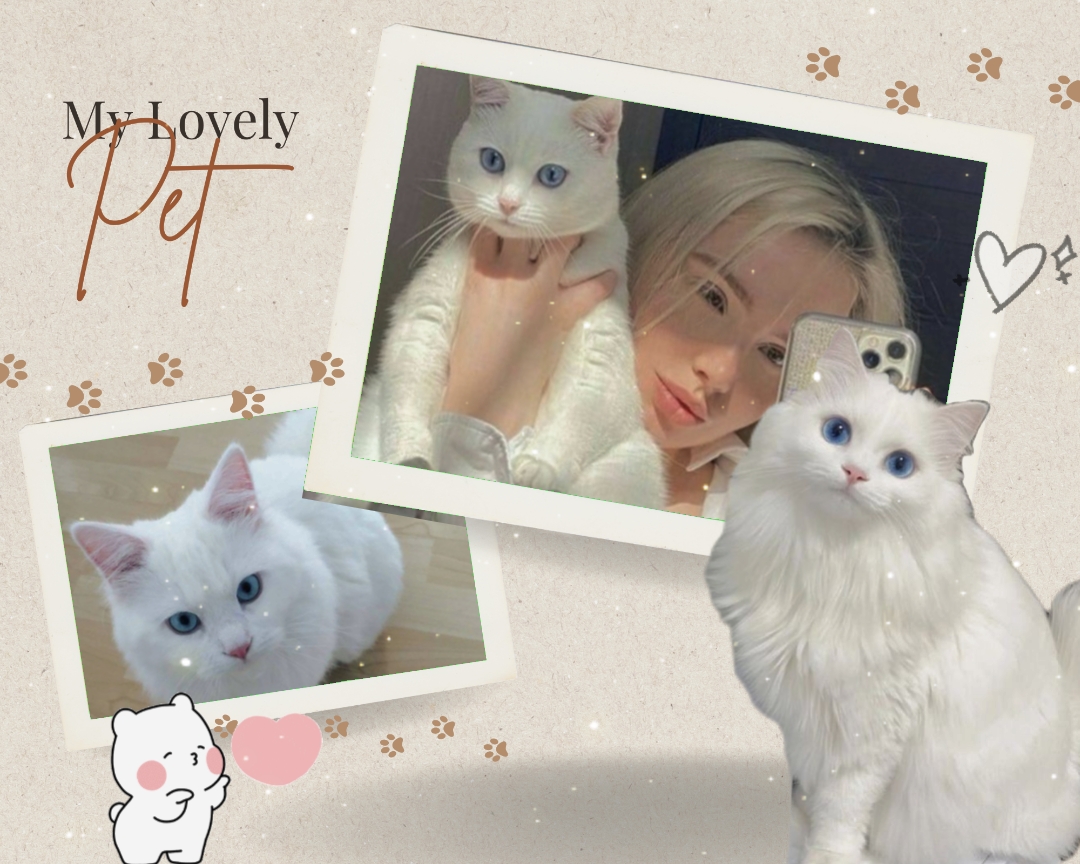 나의 사랑스러운 애완동물 