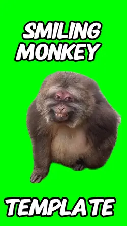 Smiling monkey