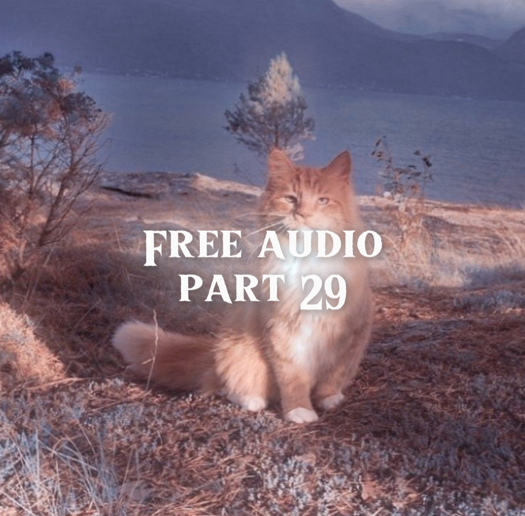 Free Audio part 29