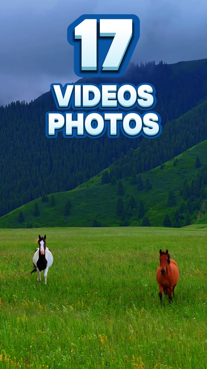 17 videos or photos 