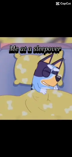 Sleepovers ππ