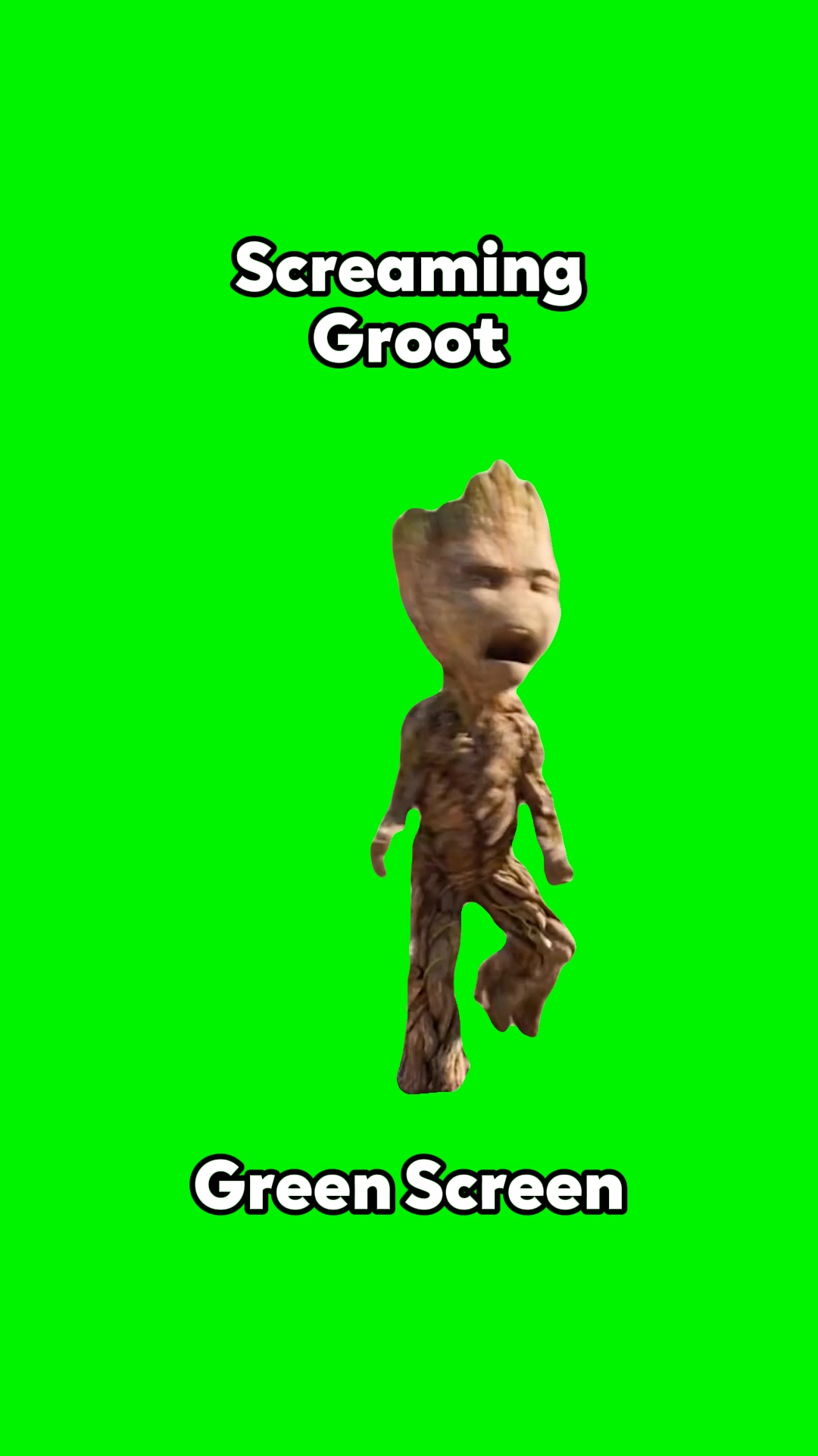 Gritando Groot
