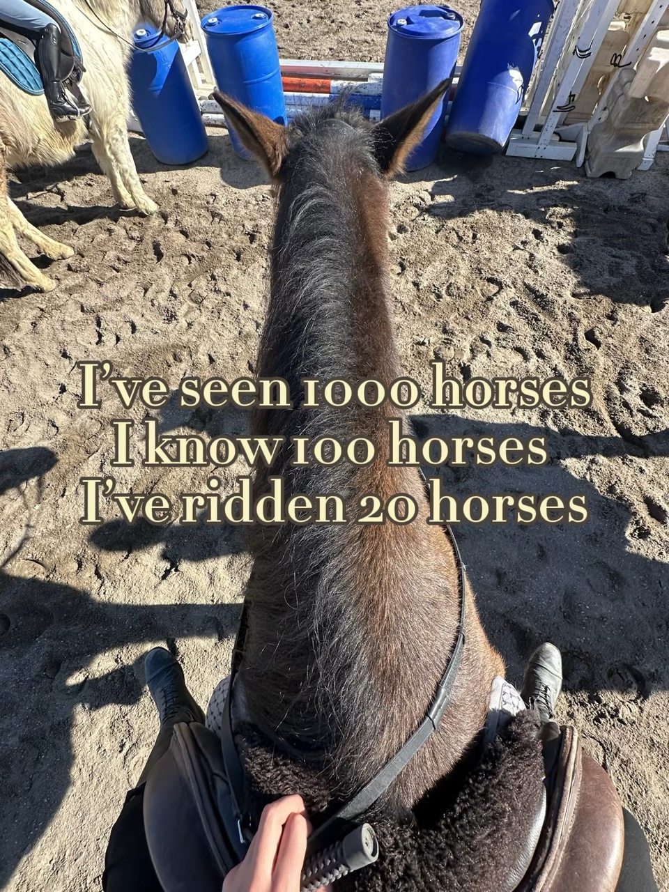 I love 1 horse 