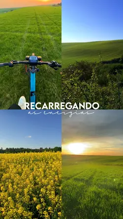 Recarregando 