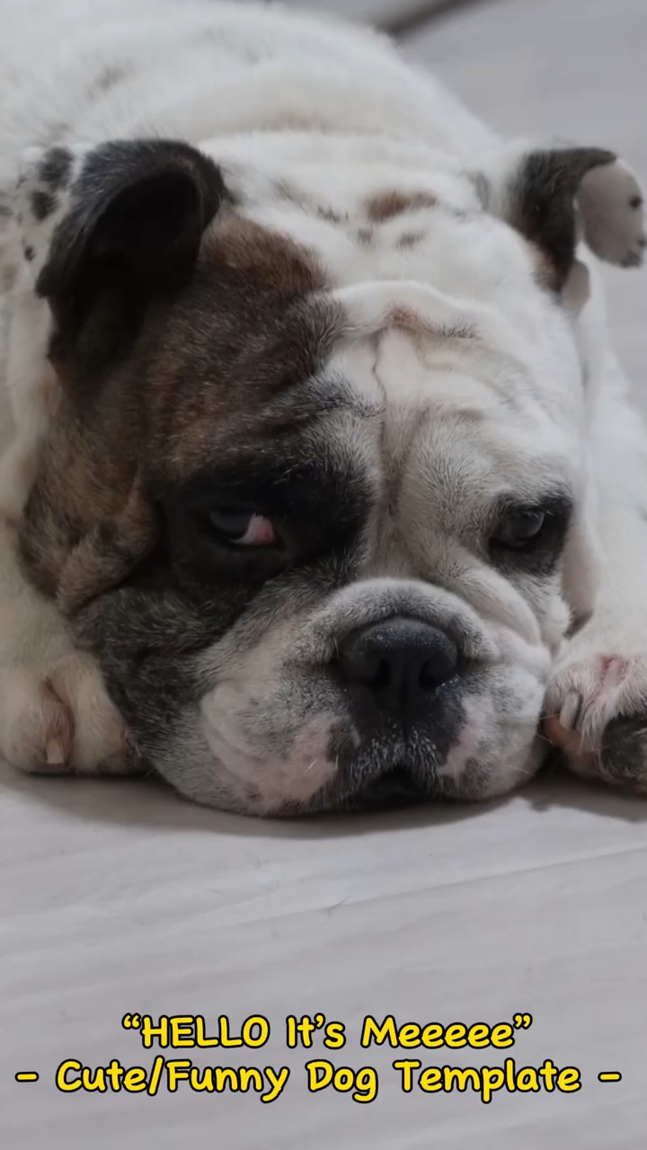 🥺Olá Sou Eu🥺