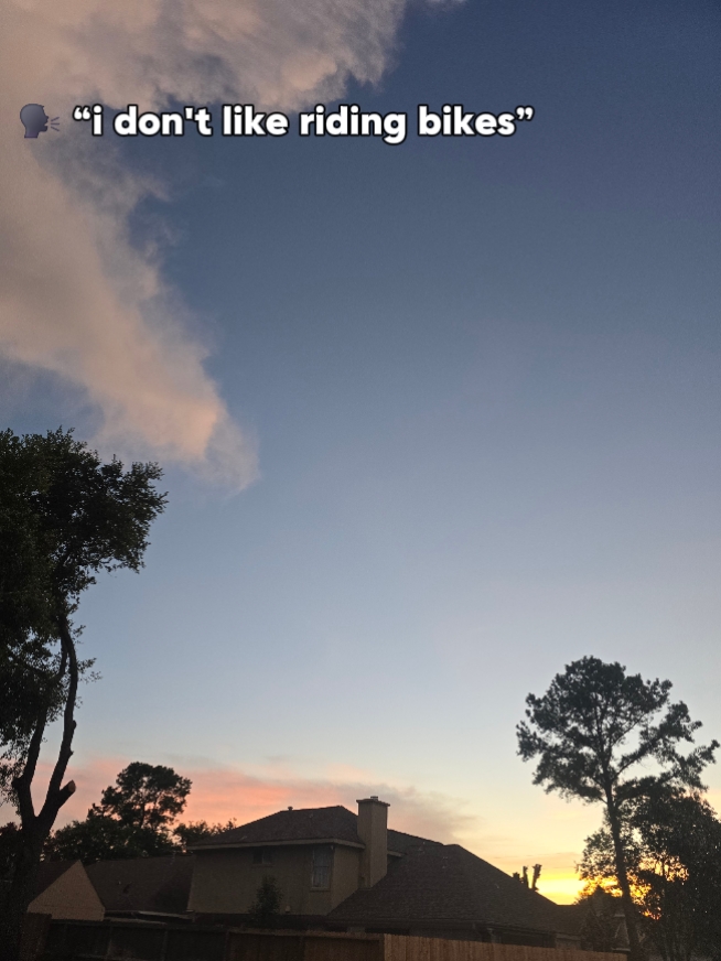 bikes