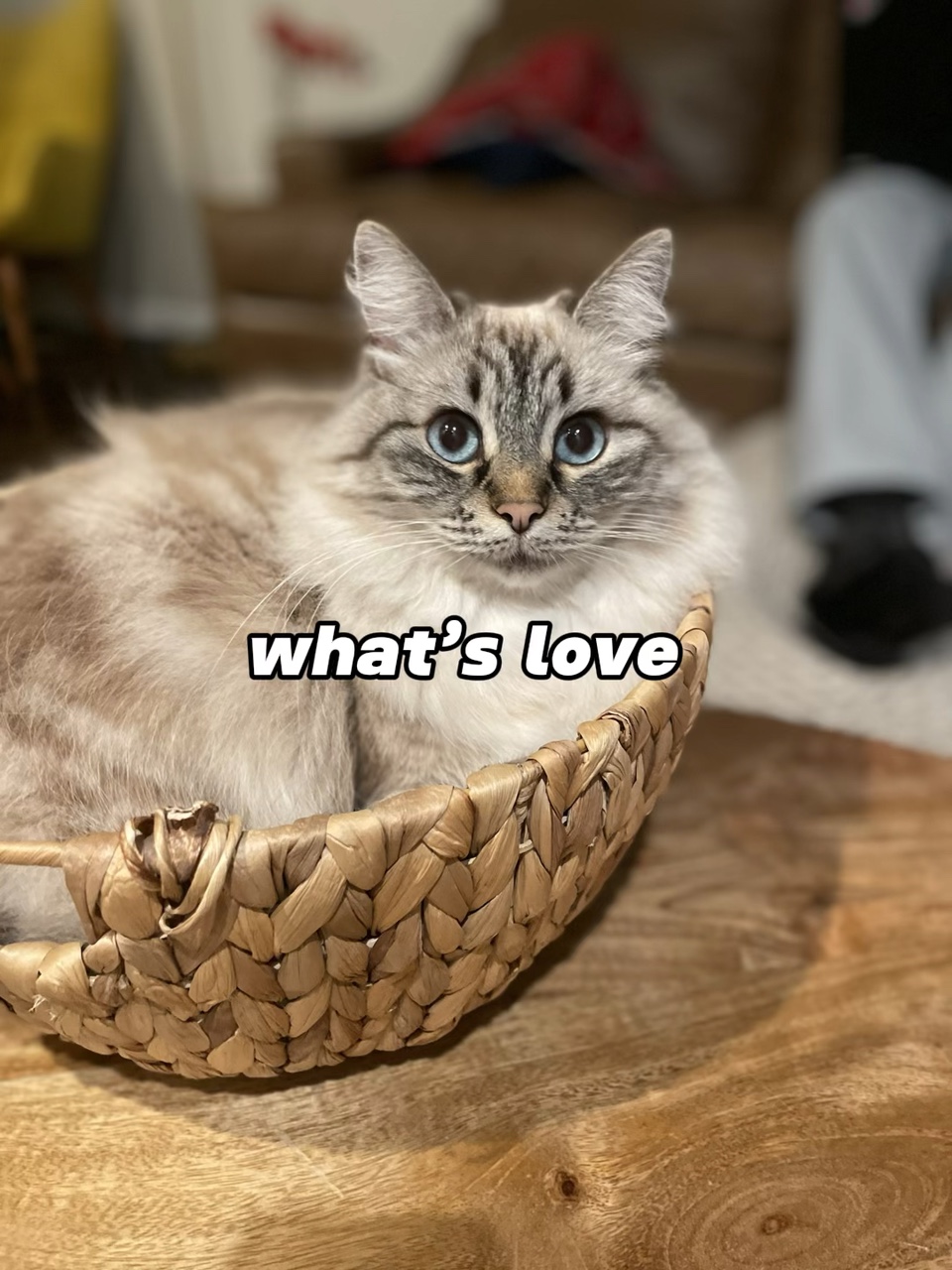Was ist Liebe?