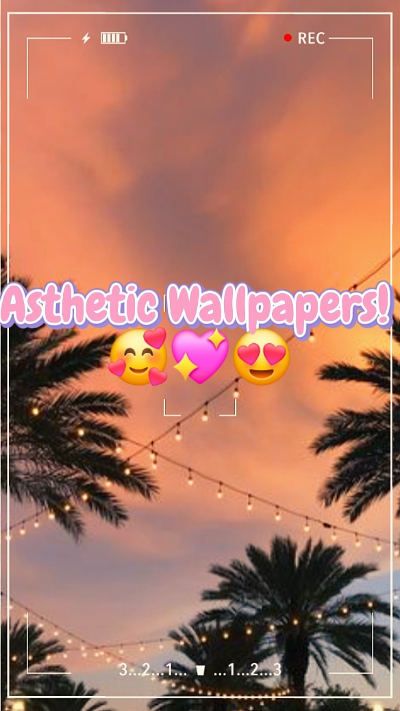 Asthetic Wallpapers 