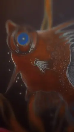 Sea Creatures