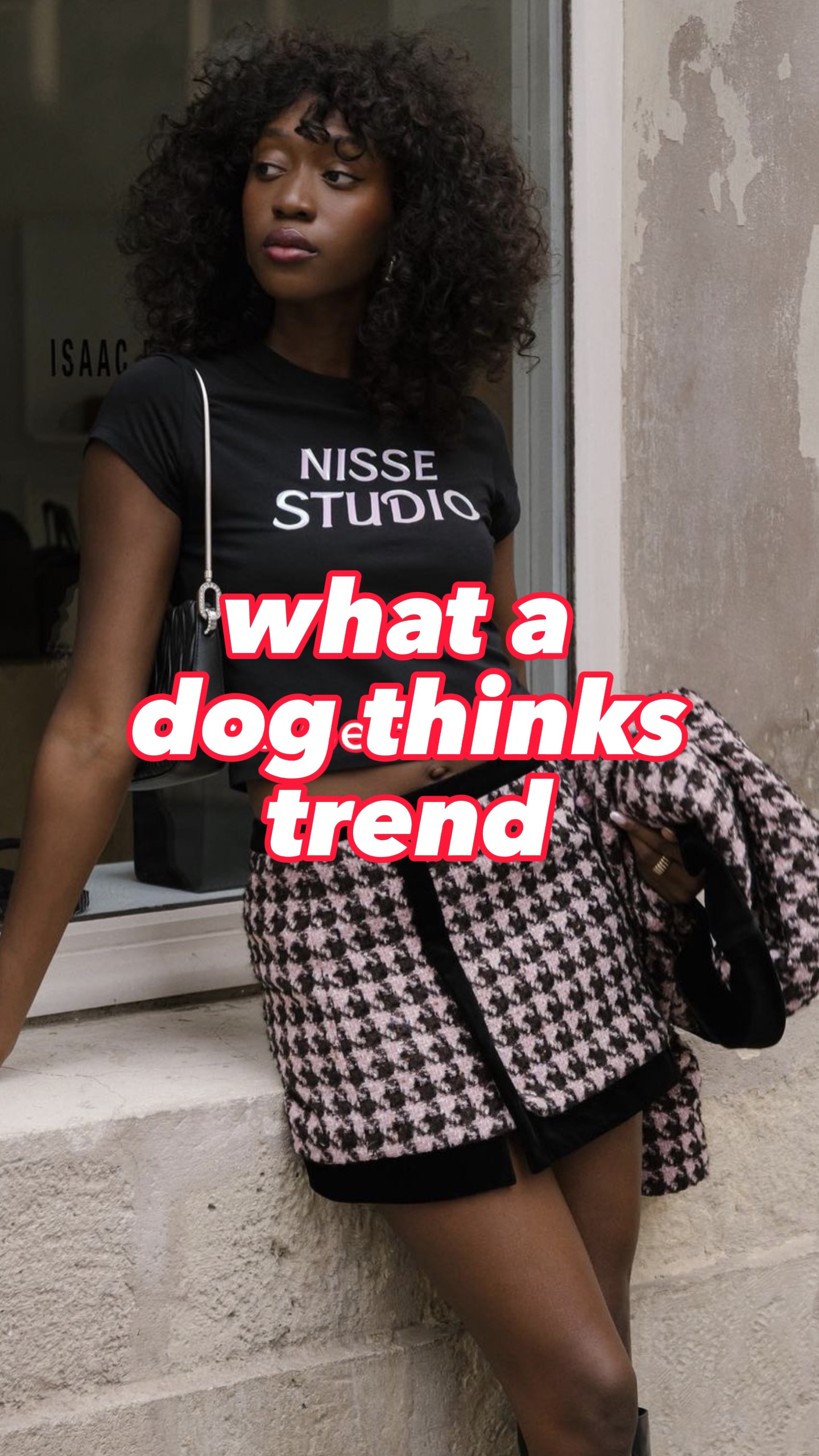 was ein Hund denkt