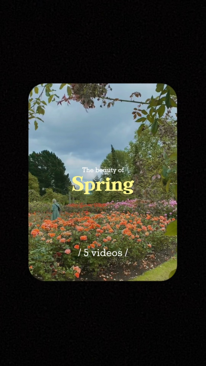 La belleza de la primavera