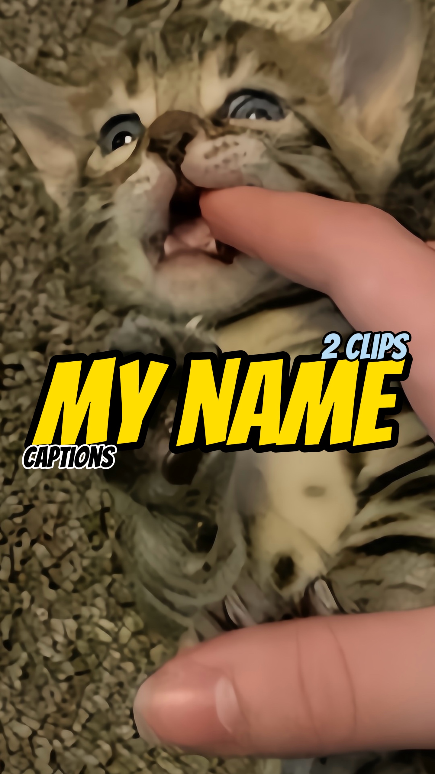 Mein Name ist.. 