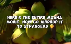 Entire Moana movie