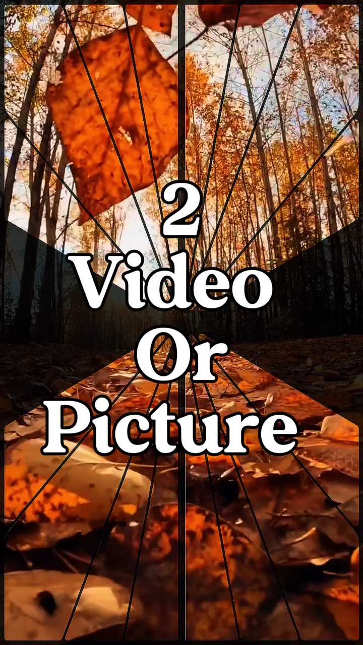 Video atau gambar 