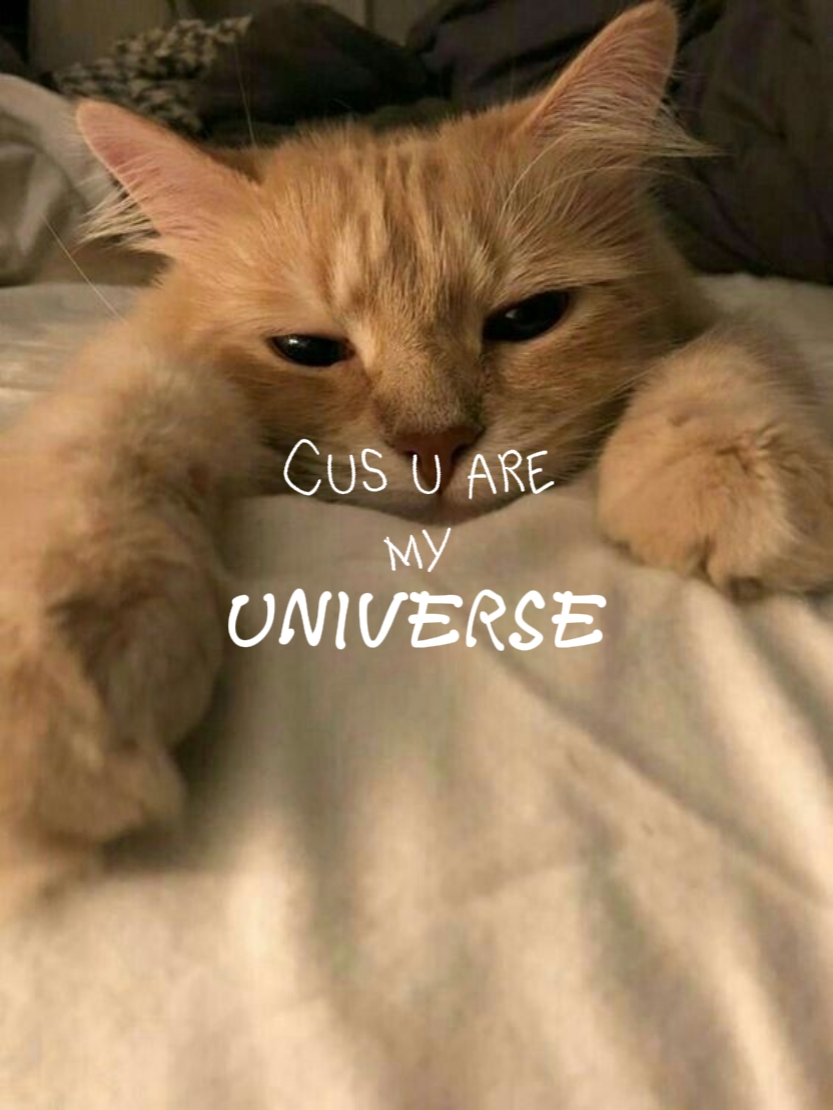 Porque você é.