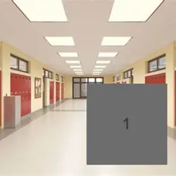 Ayo 🫡