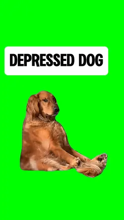 DEPRESSED DOG