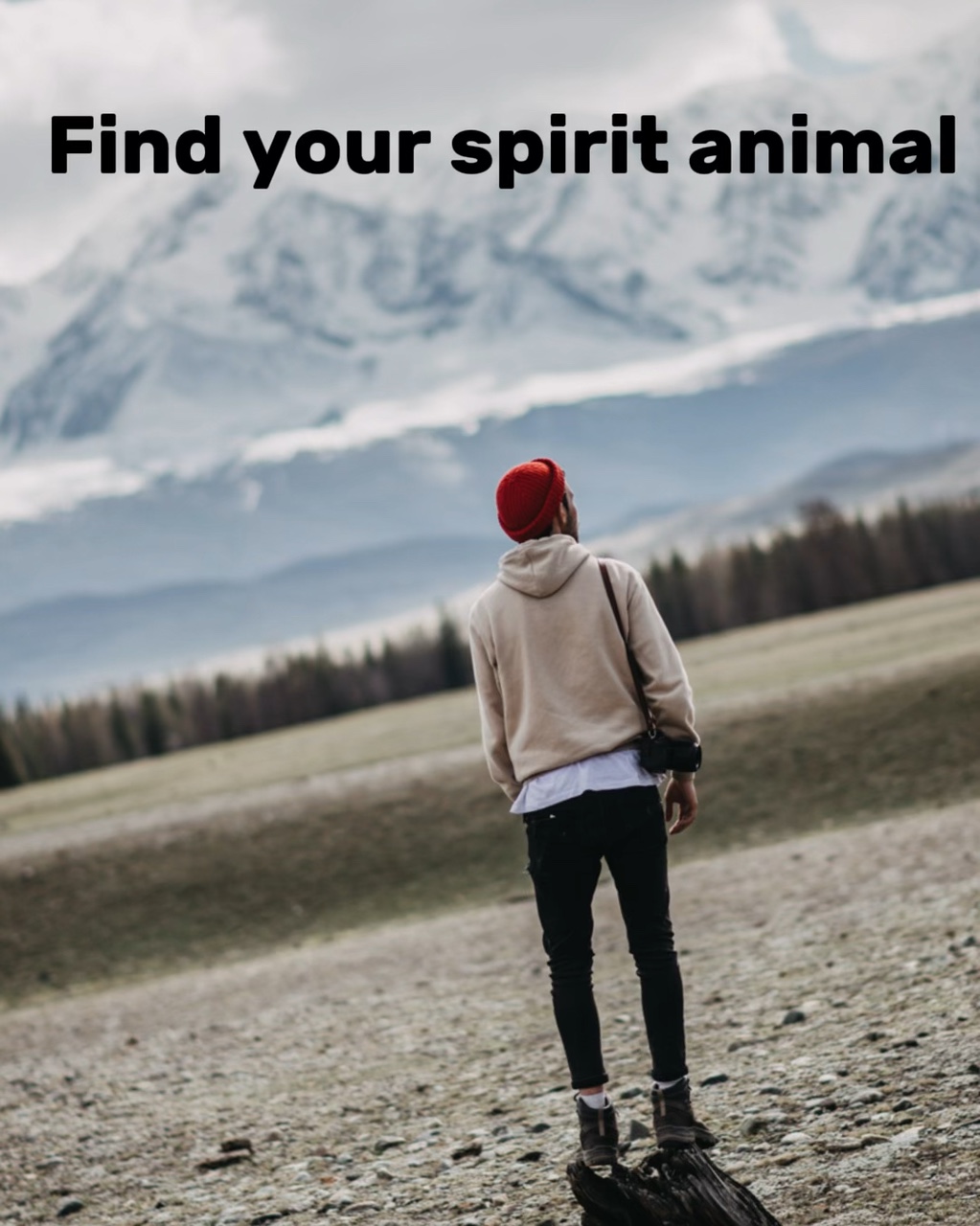 Animal espiritual 